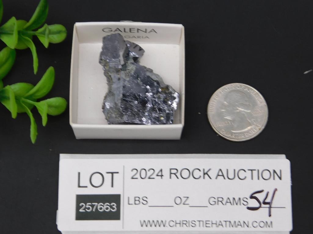 GALENA ROCK STONE LAPIDARY SPECIMEN - 2