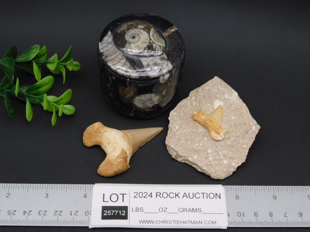 MIXED LOT ROCK STONE LAPIDARY SPECIMEN - 3