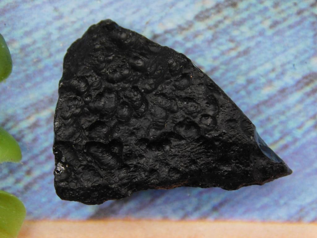 Tektite Specimen in Display Case with Information Card: Tektite Specimen in Display Case with Information Card