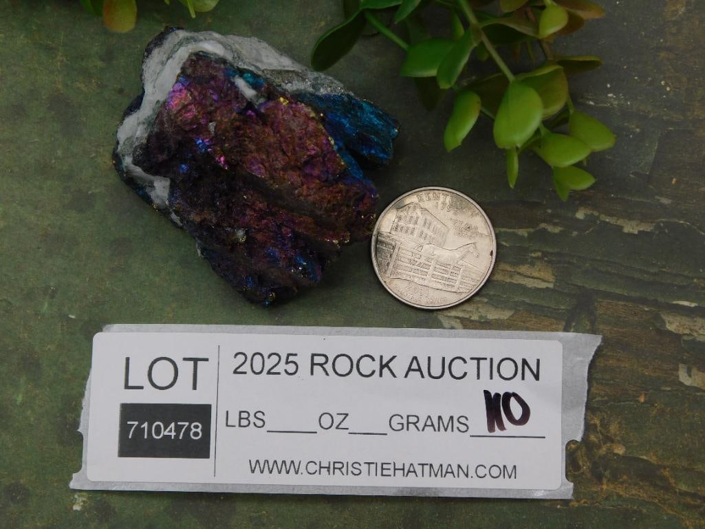 Peacock Ore Rock Stone Lapidary Specimen - 3