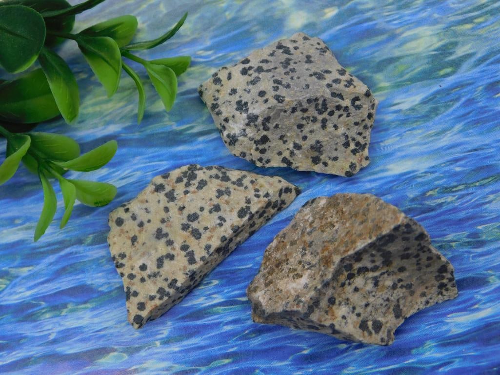 Dalmation Jasper Rock Stone Lapidary Specimen (1 of 2)