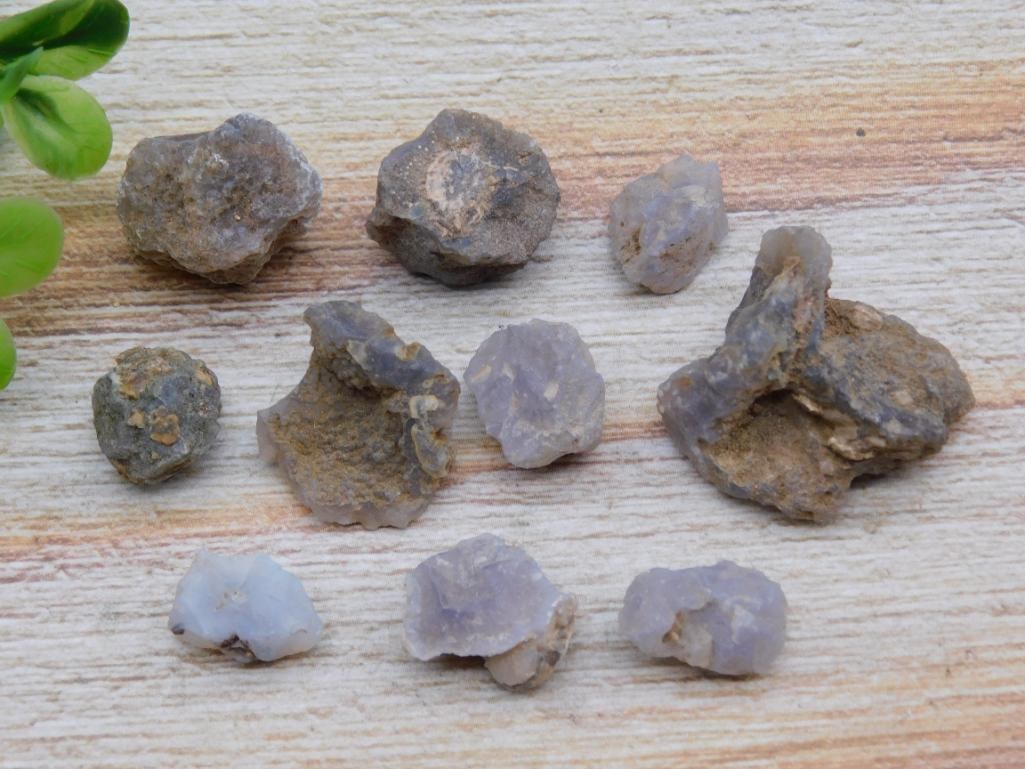 ELLENSBURG AGATE ROCK STONE LAPIDARY SPECIMEN (1 of 2)