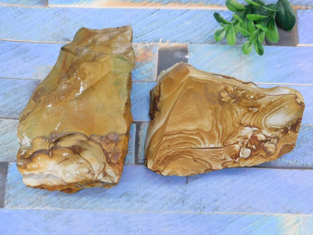 JASPER ROCK STONE LAPIDARY SPECIMEN (1 of 2)