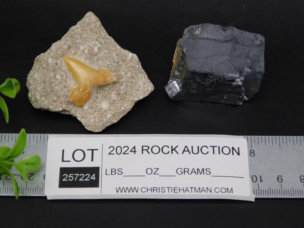 MIXED LOT ROCK STONE LAPIDARY SPECIMEN - 2