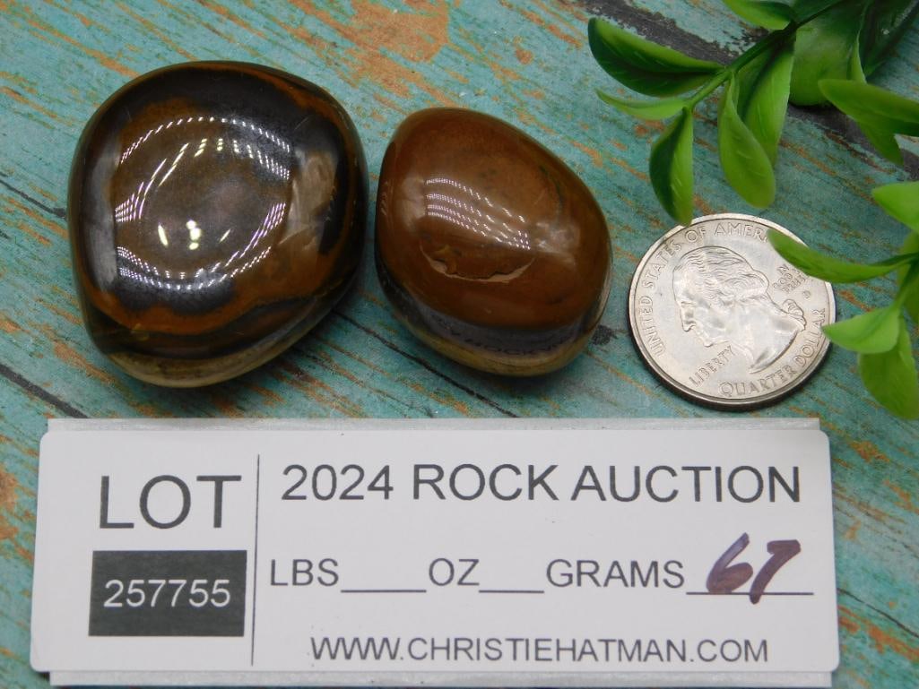 TIGER EYE ROCK STONE LAPIDARY SPECIMEN - 2