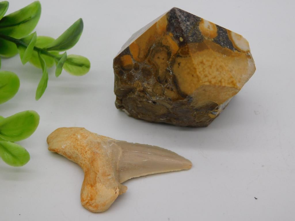 MIXED LOT ROCK STONE LAPIDARY SPECIMEN: MIXED LOT ROCK STONE LAPIDARY SPECIMEN