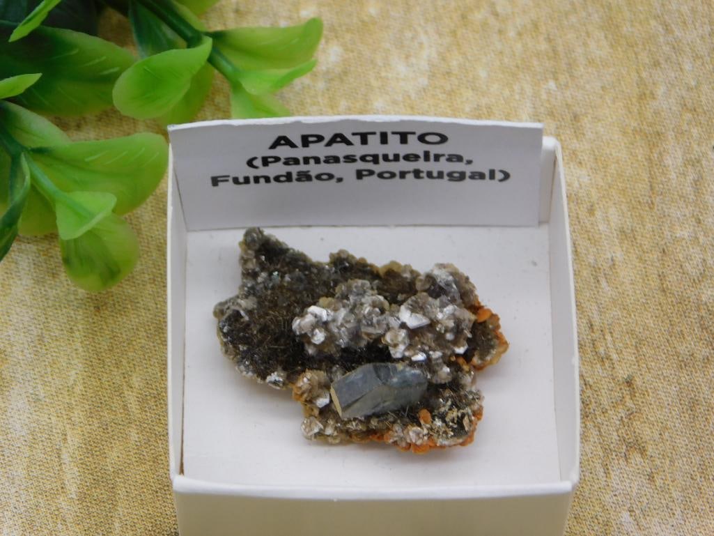 APATITE ROCK STONE LAPIDARY SPECIMEN: APATITE ROCK STONE LAPIDARY SPECIMEN - Part of our Discover Twilight Bazaar, Crystals and Gems auction at HATMAN'S Auctions! Please see photos for measurements and condition. YES, we have in-house