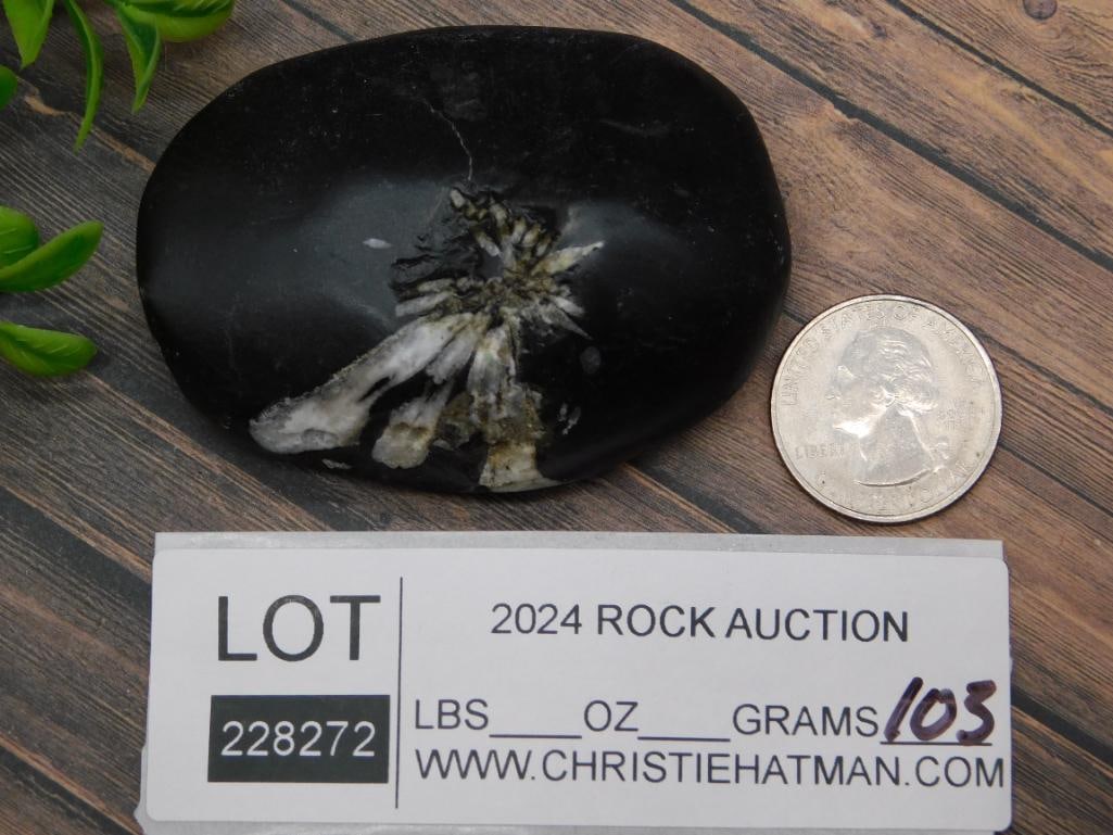 CHRYSANTHEMUM ROCK STONE LAPIDARY SPECIMEN - 3