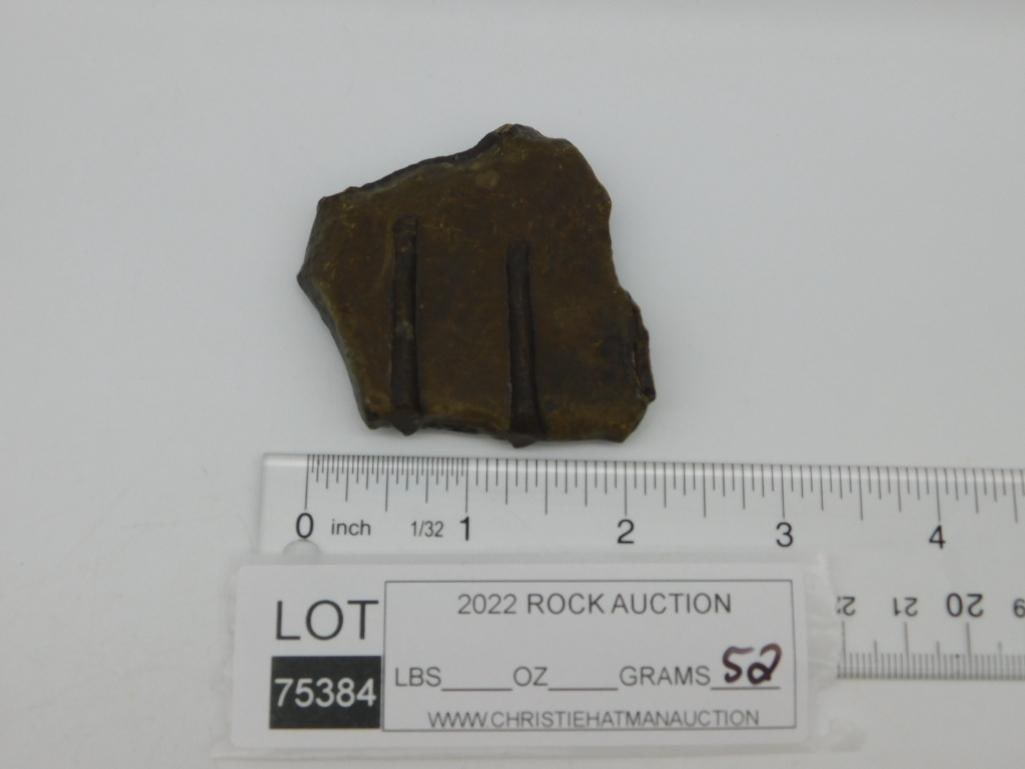 STROMATOLITE ROCK STONE LAPIDARY SPECIMEN - 2