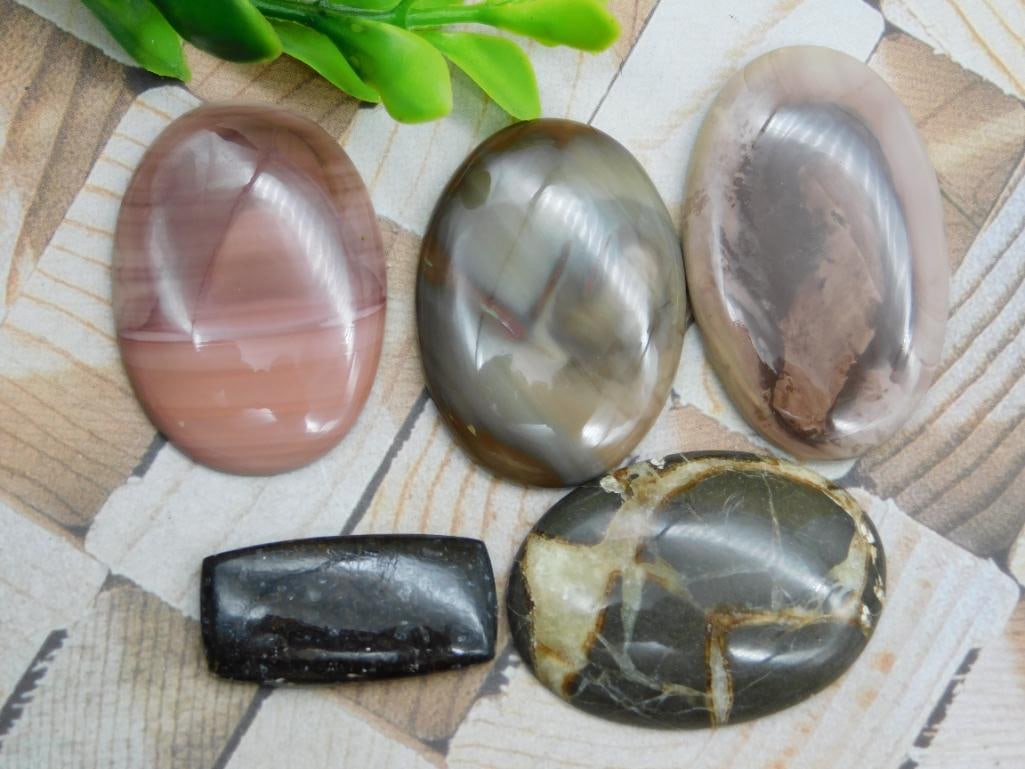 CABOCHONS ROCK STONE LAPIDARY SPECIMEN (1 of 2)