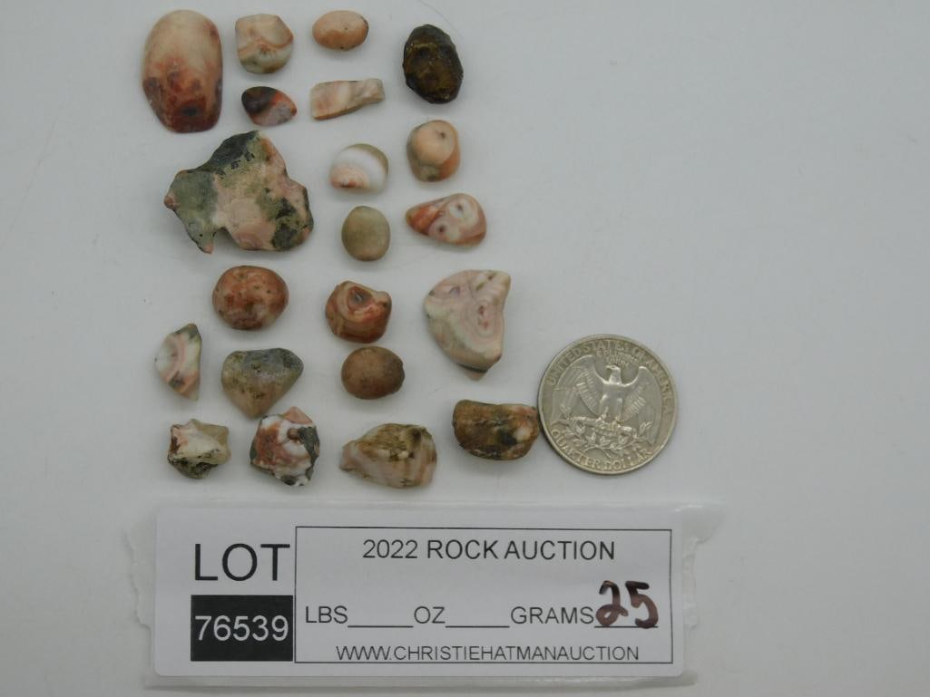THOMPSONITE ROCK STONE LAPIDARY SPECIMEN - 2