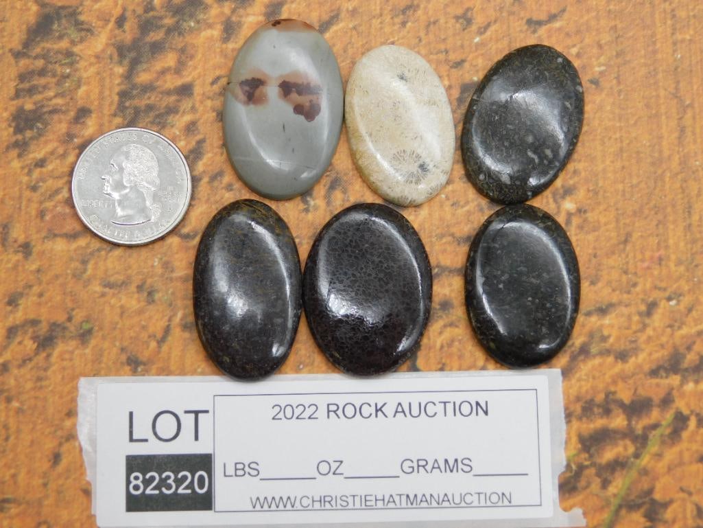 CABOCHONS ROCK STONE LAPIDARY SPECIMEN - 2