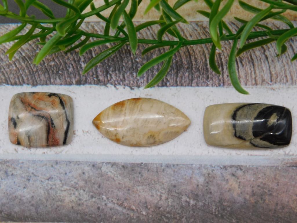 CABOCHONS ROCK STONE LAPIDARY SPECIMEN: CABOCHONS ROCK STONE LAPIDARY SPECIMEN — Part of our Discover Curiosity Shop, Crystals and Gems auction at HATMAN'S Auctions! Please see photos for measurements and condition. YES, we have in-house