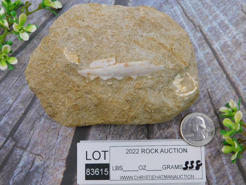 DINOSAUR BONE IN MATRIX ROCK STONE LAPIDARY SPECIMEN - 3