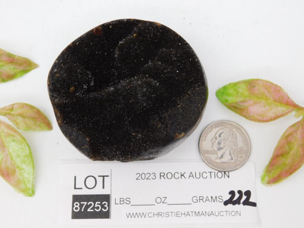 SEPTARIAN ROCK STONE LAPIDARY SPECIMEN - 2