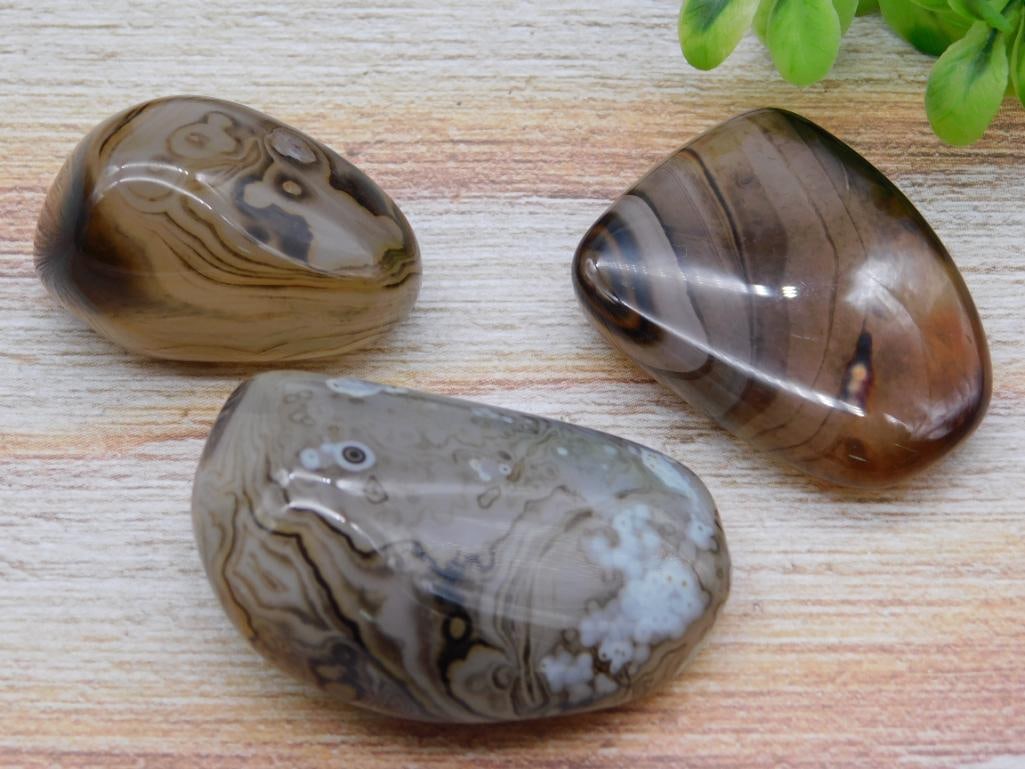 SARDONYX ROCK STONE LAPIDARY SPECIMEN: SARDONYX ROCK STONE LAPIDARY SPECIMEN — Part of our Discover Curiosity Shop, Crystals and Gems auction at HATMAN'S Auctions! Please see photos for measurements and condition. YES, we have in-house