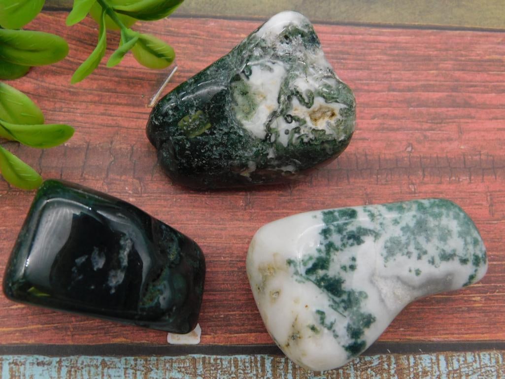 TREE AGATE ROCK STONE LAPIDARY SPECIMEN (1 of 2)