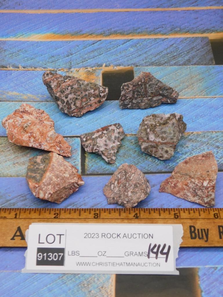 LEOPARD SKIN JASPER ROCK STONE LAPIDARY SPECIMEN - 2