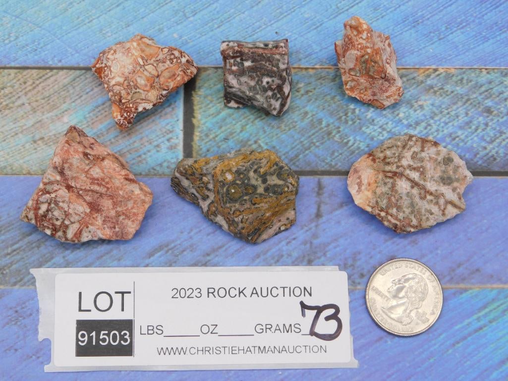 LEOPARD SKIN JASPER ROCK STONE LAPIDARY SPECIMEN - 2