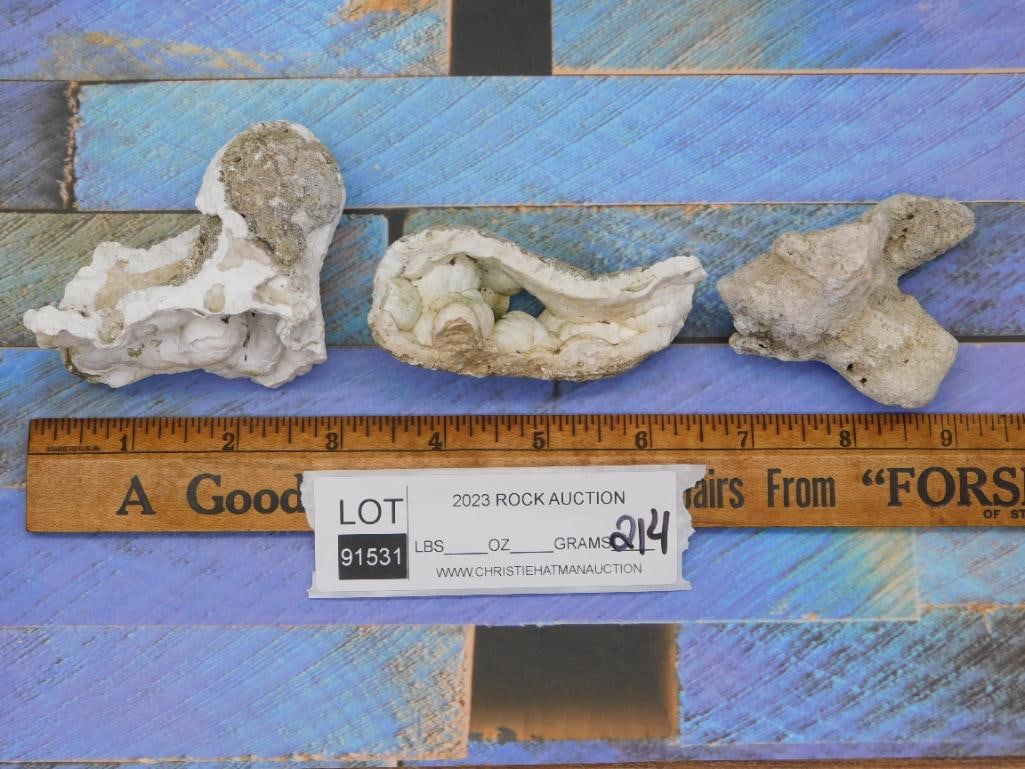 AGATIZED QUARTZ ROCK STONE LAPIDARY SPECIMEN - 2