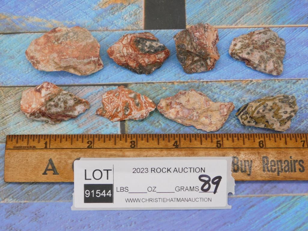LEOPARD SKIN JASPER ROCK STONE LAPIDARY SPECIMEN - 2
