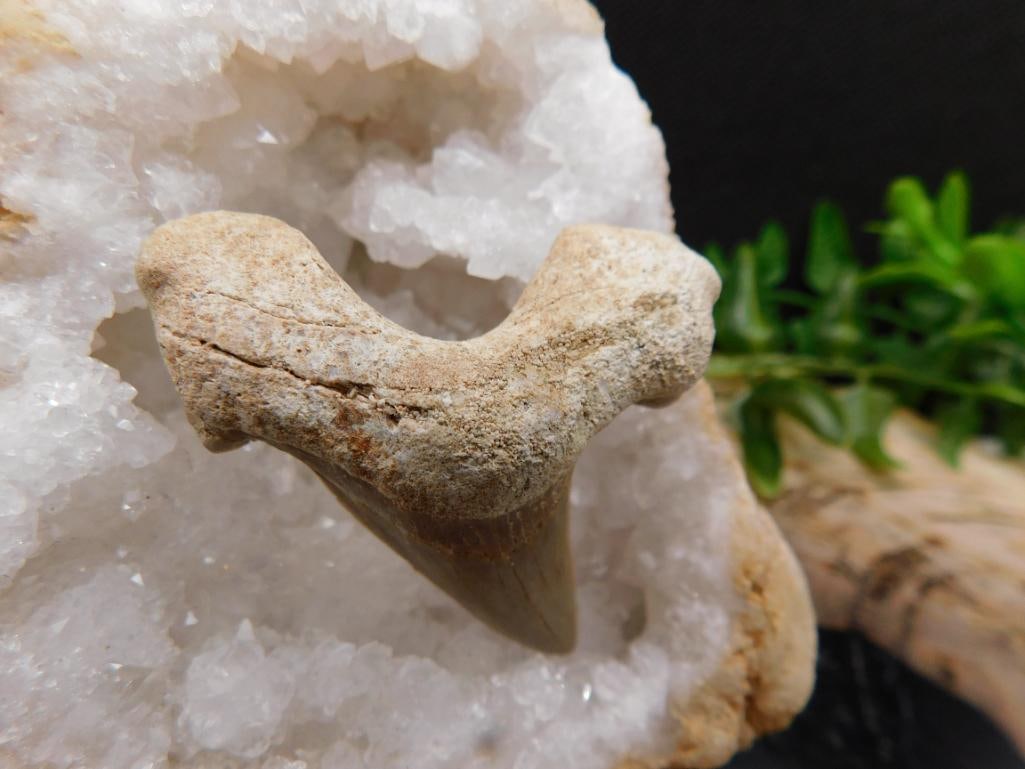 JEWELRY SALE! ROCK STONE LAPIDARY SPECIMEN: JEWELRY SALE! ROCK STONE LAPIDARY SPECIMEN — Part of our Discover The Grand Reveal, Crystals and Gems auction at HATMAN'S Auctions! Please see photos for measurements and condition. YES, we have