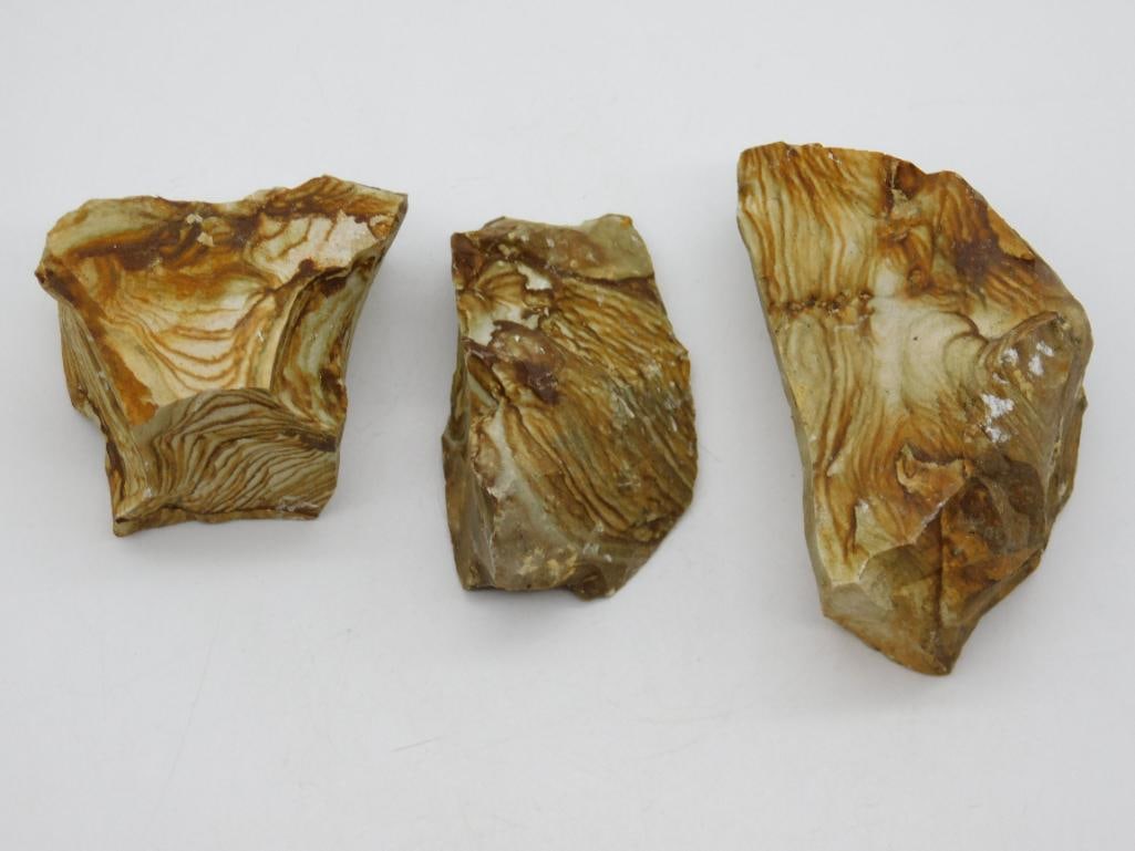 JASPER ROCK STONE LAPIDARY SPECIMEN (1 of 2)