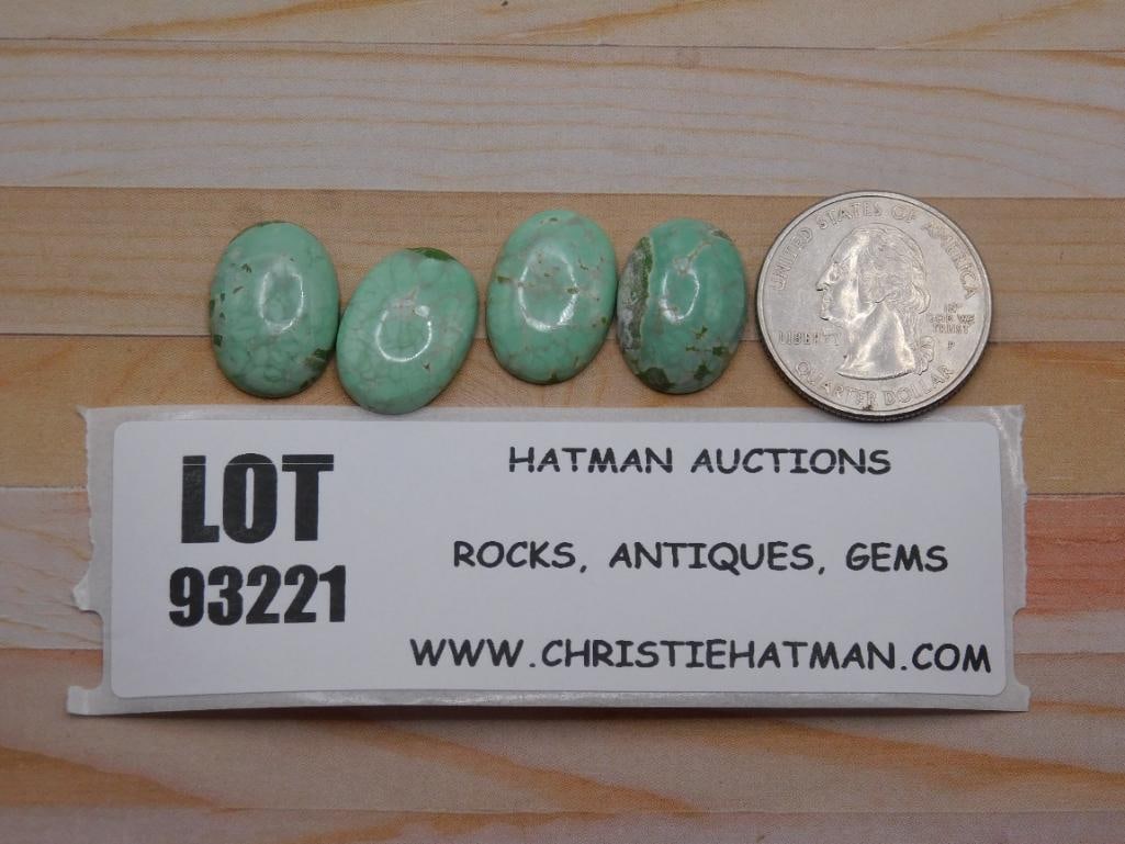 VARISCITE CABOCHON ROCK STONE LAPIDARY SPECIMEN: VARISCITE CABOCHON ROCK STONE LAPIDARY SPECIMEN