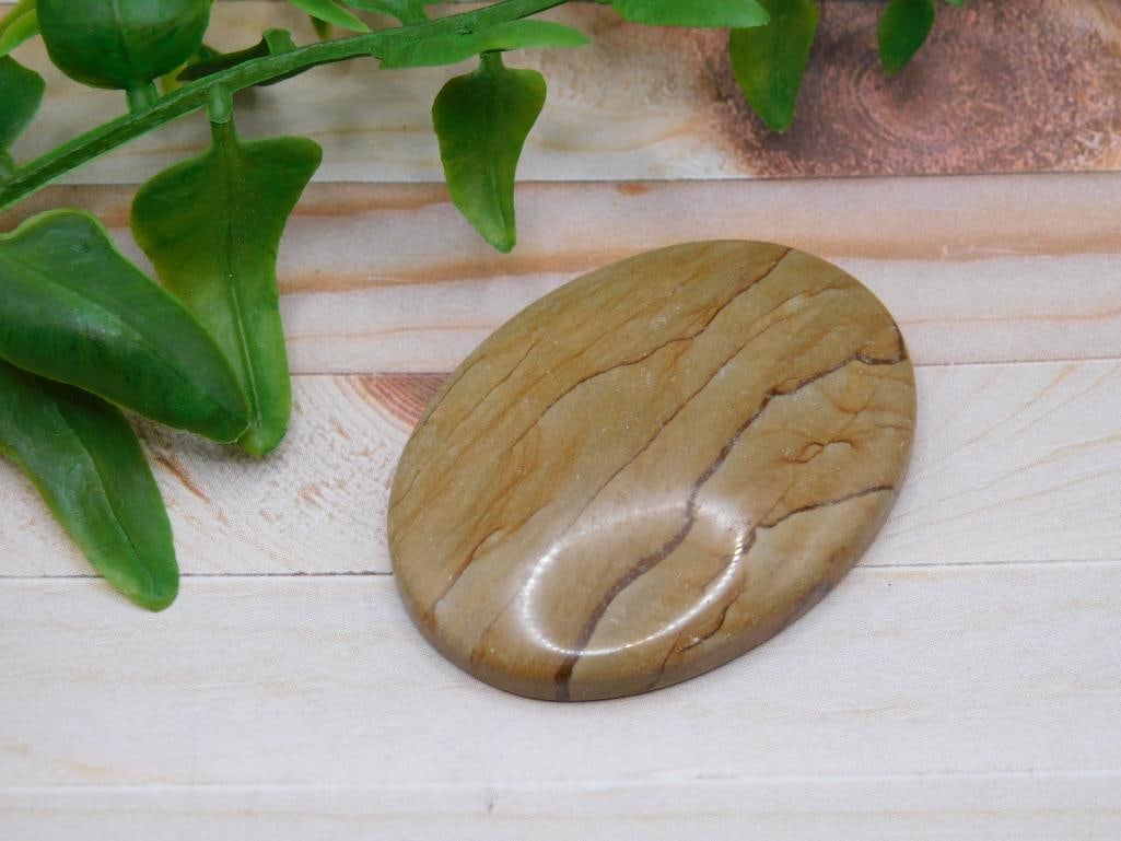JASPER CABOCHON ROCK STONE LAPIDARY SPECIMEN (1 of 2)