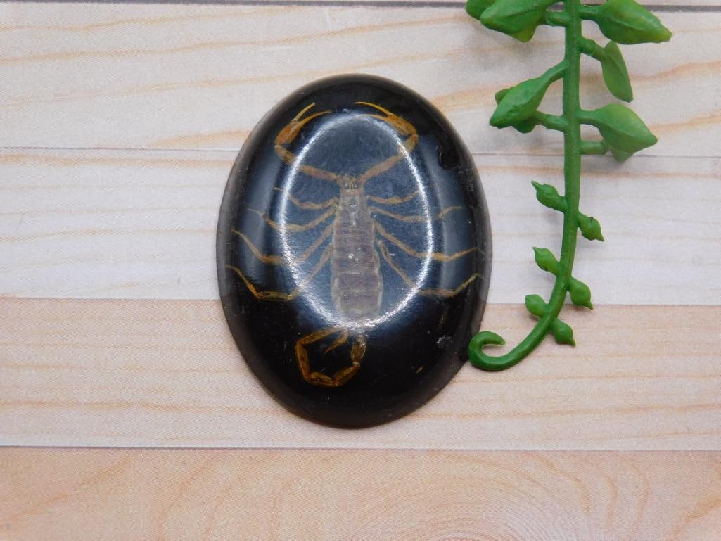 SCORPION CABOCHON ROCK STONE LAPIDARY SPECIMEN: SCORPION CABOCHON ROCK STONE LAPIDARY SPECIMEN — Part of our Discover The Grand Reveal, Crystals and Gems auction at HATMAN'S Auctions! Please see photos for measurements and condition. YES, we