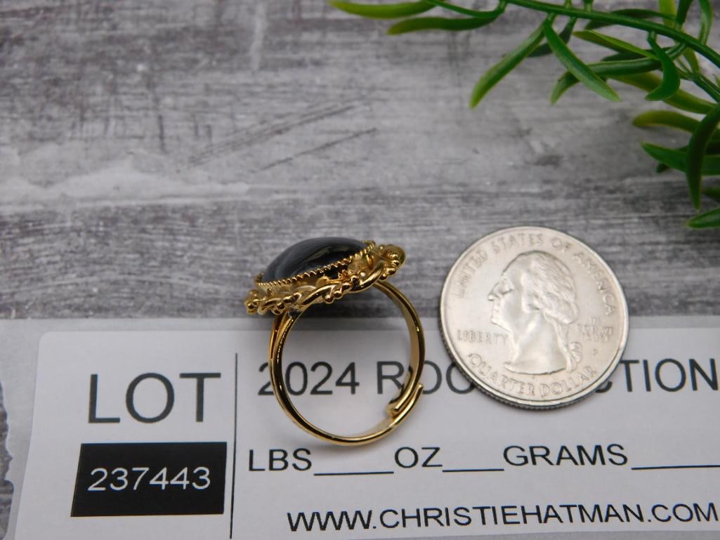 RING ROCK STONE LAPIDARY SPECIMEN - 2