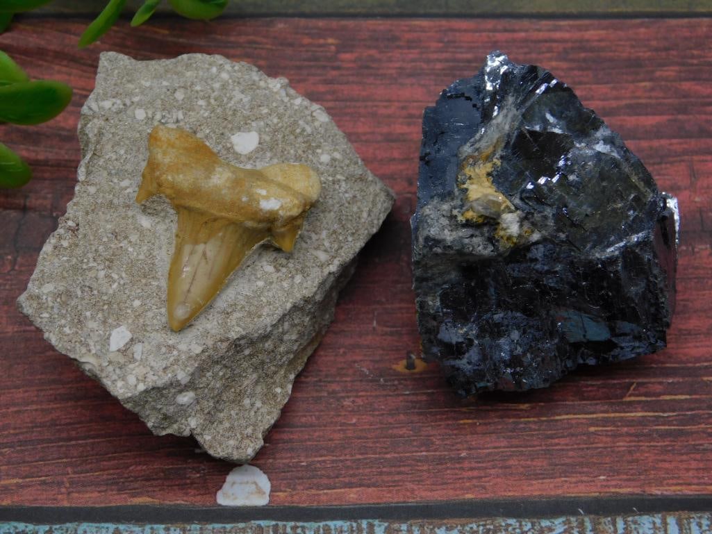 MIXED LOT ROCK STONE LAPIDARY SPECIMEN: MIXED LOT ROCK STONE LAPIDARY SPECIMEN — Part of our Discover Mystic Finds, Crystals and Gems auction at HATMAN'S Auctions! Please see photos for measurements and condition. YES, we have in-house