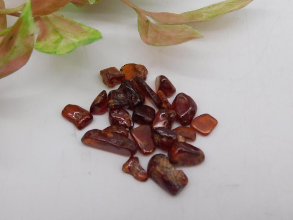 Small Collection of Polished Red Stones ROCK STONE LAPIDARY SPECIMEN (1 of 3)
