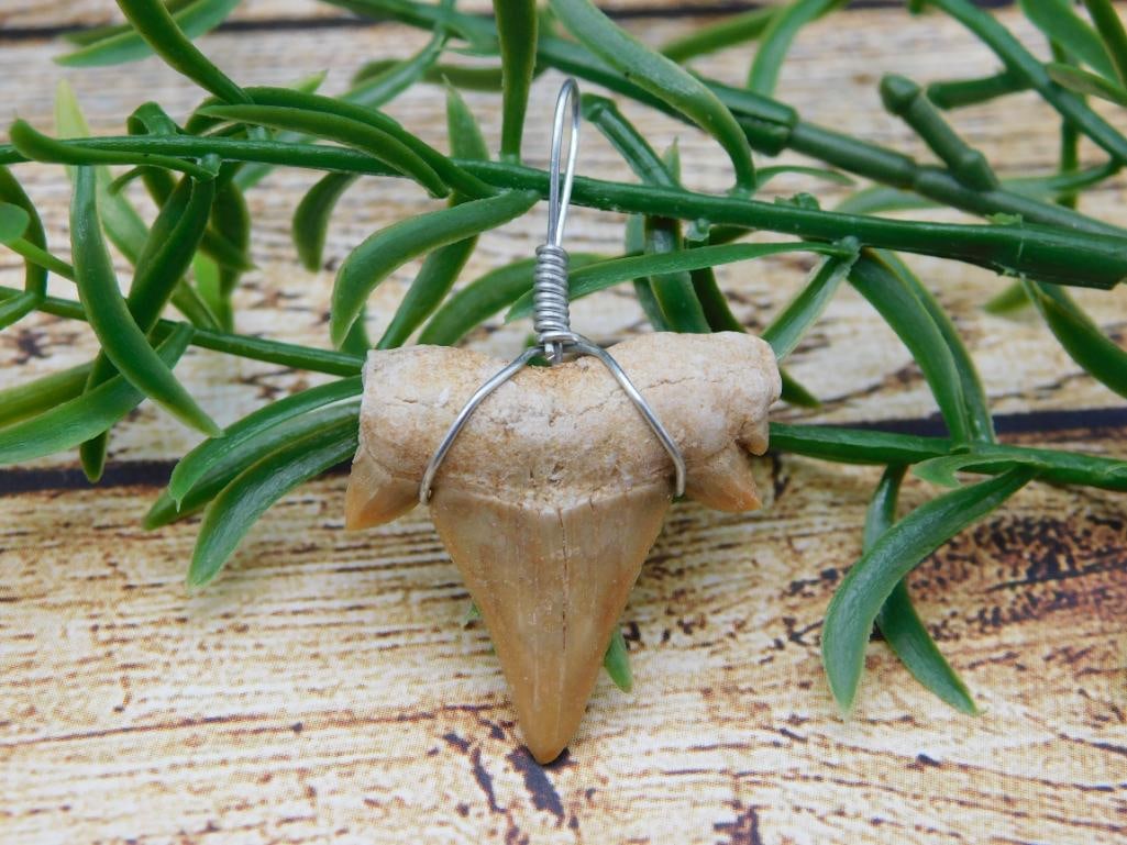 SHARK TOOTH PENDANT ROCK STONE LAPIDARY SPECIMEN: SHARK TOOTH PENDANT ROCK STONE LAPIDARY SPECIMEN - Part of our Discover Silver Lining, Crystals and Gems auction at HATMAN'S Auctions! Please see photos for measurements and condition. YES, we have