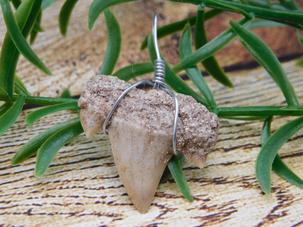 SHARK TOOTH PENDANT ROCK STONE LAPIDARY SPECIMEN: SHARK TOOTH PENDANT ROCK STONE LAPIDARY SPECIMEN - Part of our Discover Silver Lining, Crystals and Gems auction at HATMAN'S Auctions! Please see photos for measurements and condition. YES, we have