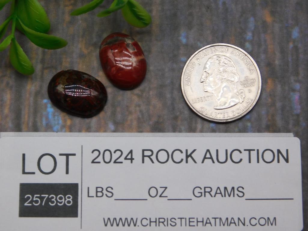 CABOCHONS ROCK STONE LAPIDARY SPECIMEN - 2