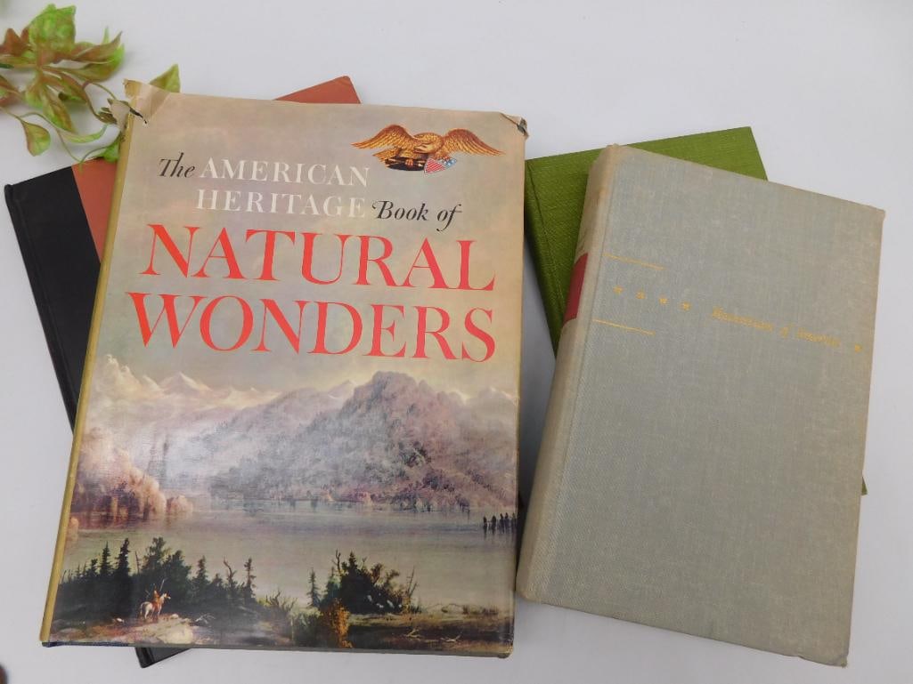 MIXED BOOK LOT VINTAGE ANTIQUE (1 of 12)