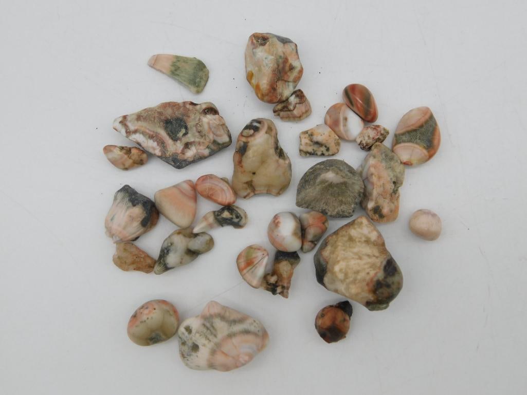 THOMPSONITE ROCK STONE LAPIDARY SPECIMEN: Thank you for attending HATMAN AUCTIONS! Yes, we ship all items that are not oversized. Please see photos for measurements and description. SPECIAL NOTICE: Many items are PICK UP ONLY by APPOINTMENT