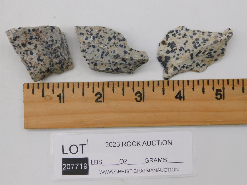 DALMATION JASPER ROCK STONE LAPIDARY SPECIMEN - 2