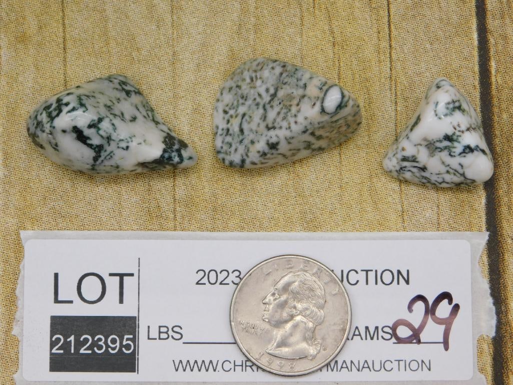 TREE AGATE ROCK STONE LAPIDARY SPECIMEN - 2