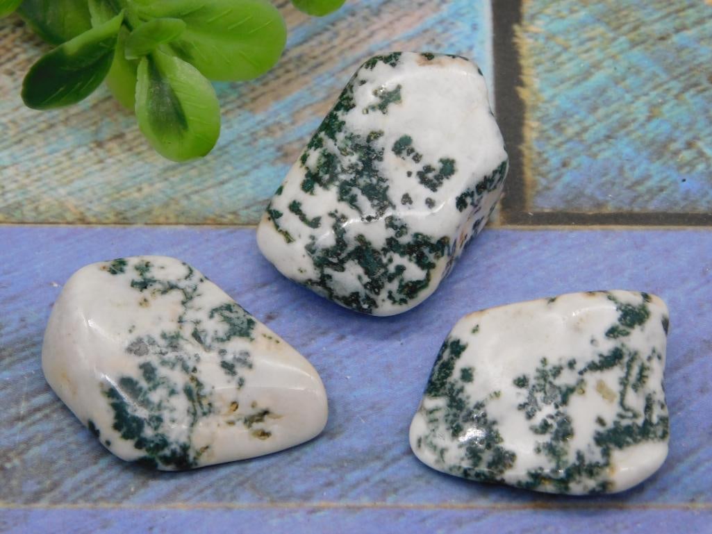 TREE AGATE ROCK STONE LAPIDARY SPECIMEN (1 of 2)