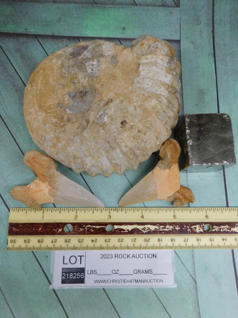 MIXED LOT ROCK STONE LAPIDARY SPECIMEN - 2