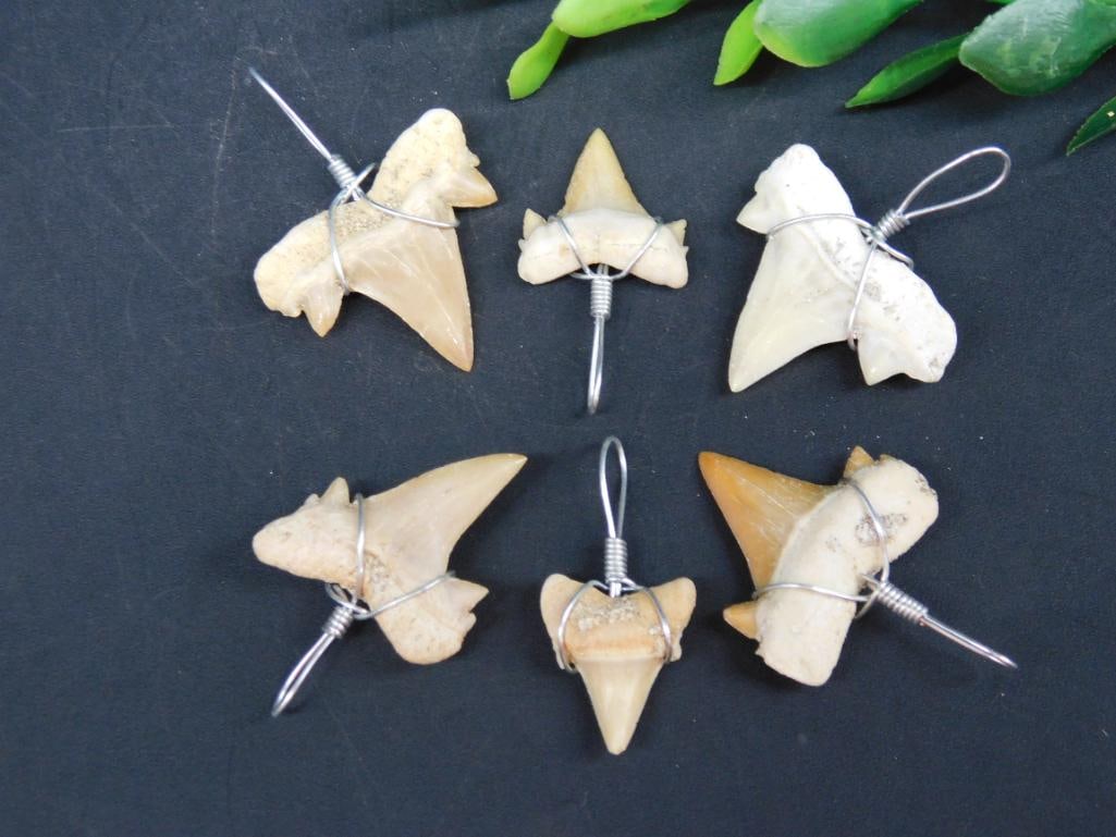 SHARK TOOTH PENDANTS ROCK STONE LAPIDARY SPECIMEN (1 of 2)