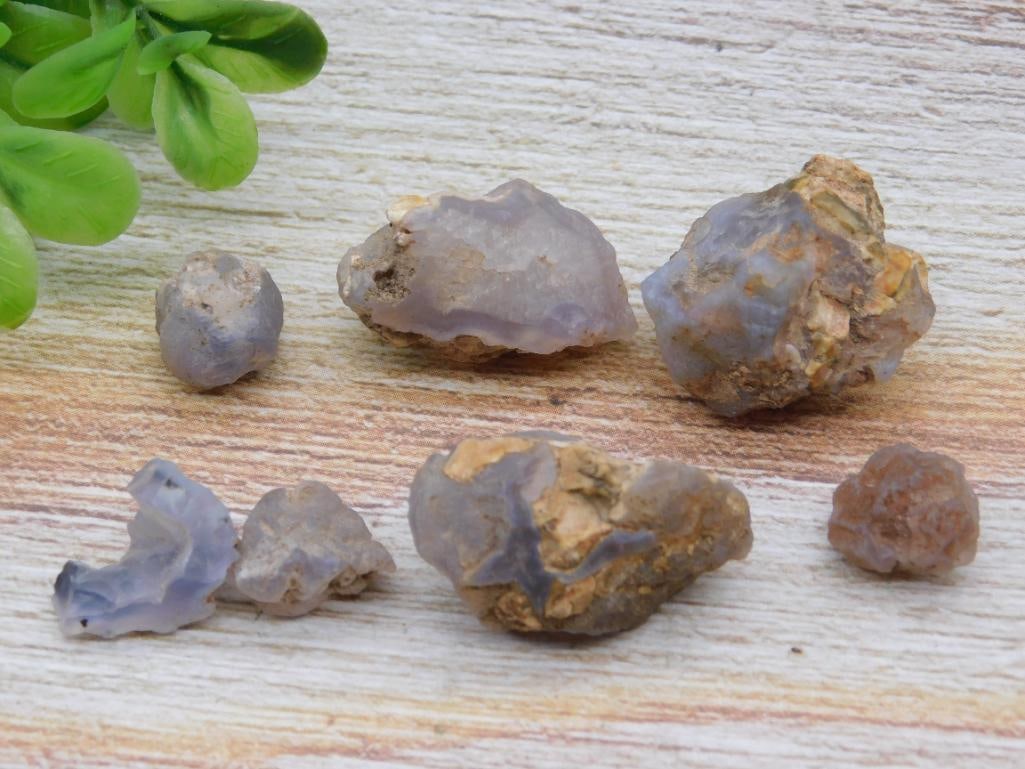 ELLENSBURG AGATE ROCK STONE LAPIDARY SPECIMEN (1 of 2)