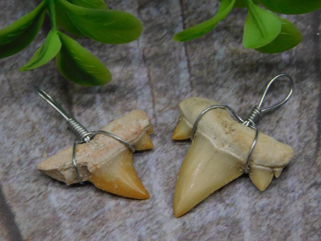 SHARK TOOTH PENDANTS ROCK STONE LAPIDARY SPECIMEN (1 of 2)