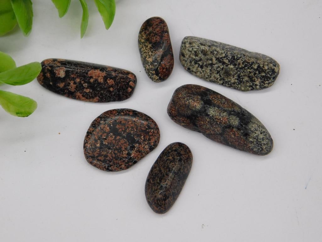 LEOPARD SKIN JASPER ROCK STONE LAPIDARY SPECIMEN (1 of 2)