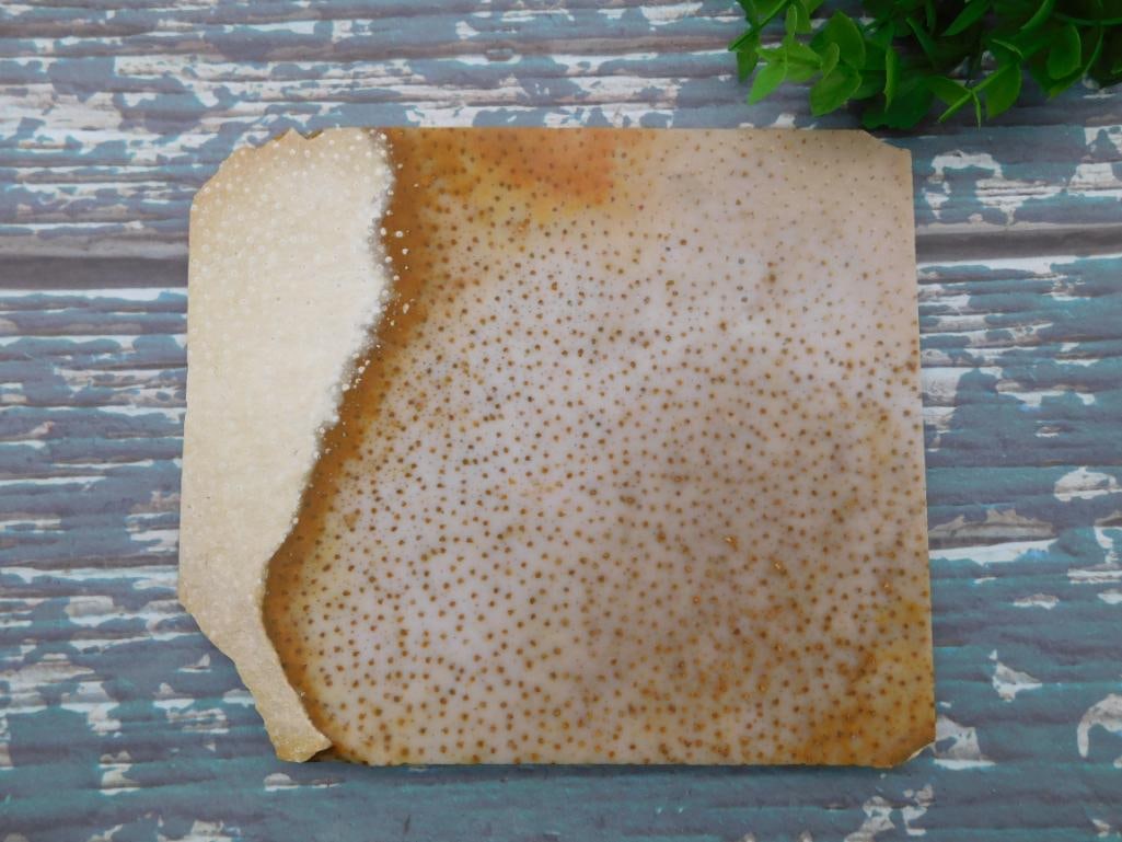 PETRIFIED PALM WOOD SLAB ROCK STONE LAPIDARY SPECIMEN: PETRIFIED PALM WOOD SLAB ROCK STONE LAPIDARY SPECIMEN