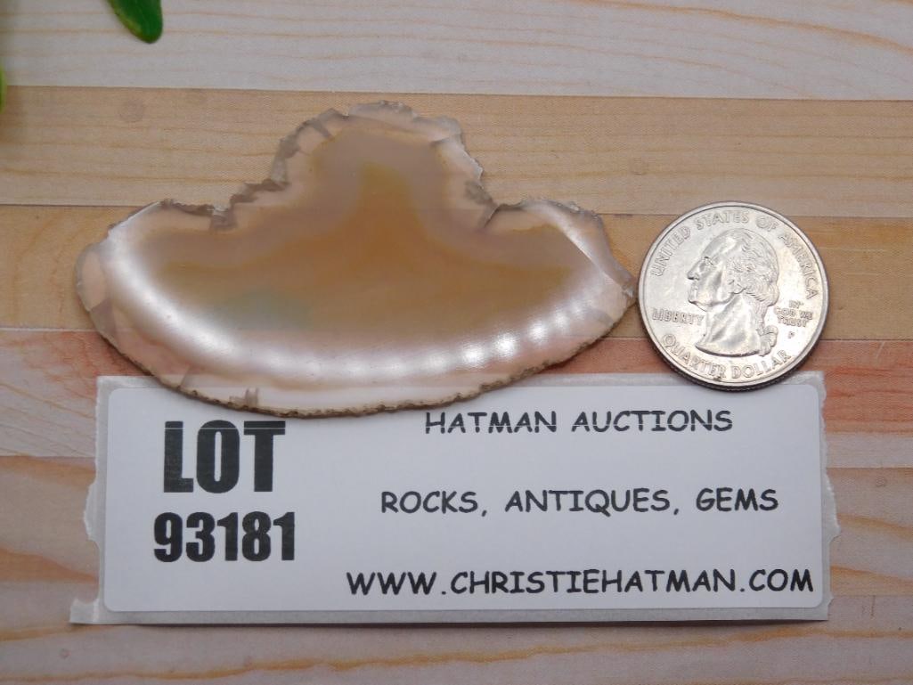 AGATE SLICE ROCK STONE LAPIDARY SPECIMEN (1 of 1)