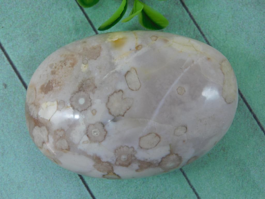 HATMANS FLOWER PETAL AGATE ROCK STONE LAPIDARY SPECIMEN (1 of 2)