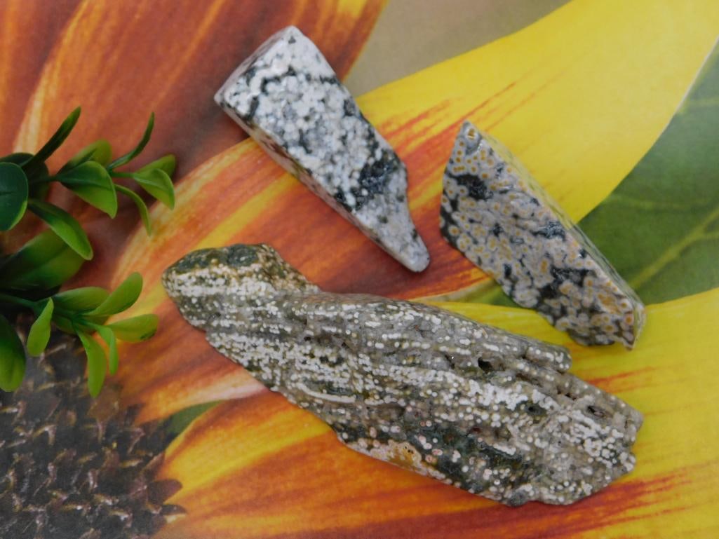 Ocean Jasper Rock Stone Lapidary Specimens: Ocean Jasper Rock Stone Lapidary Specimens
